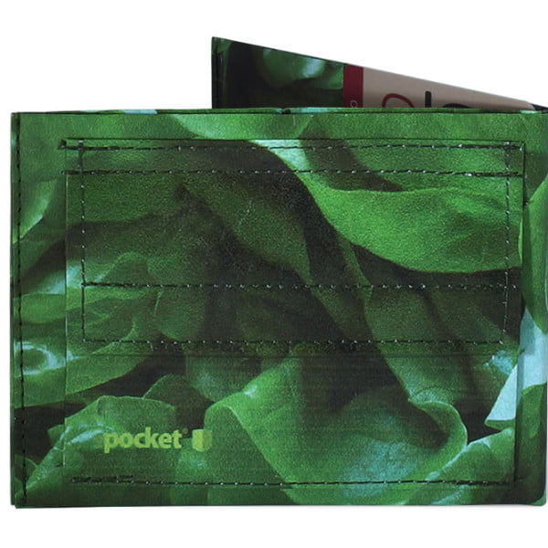 Spocket Classic Plus Lettuce