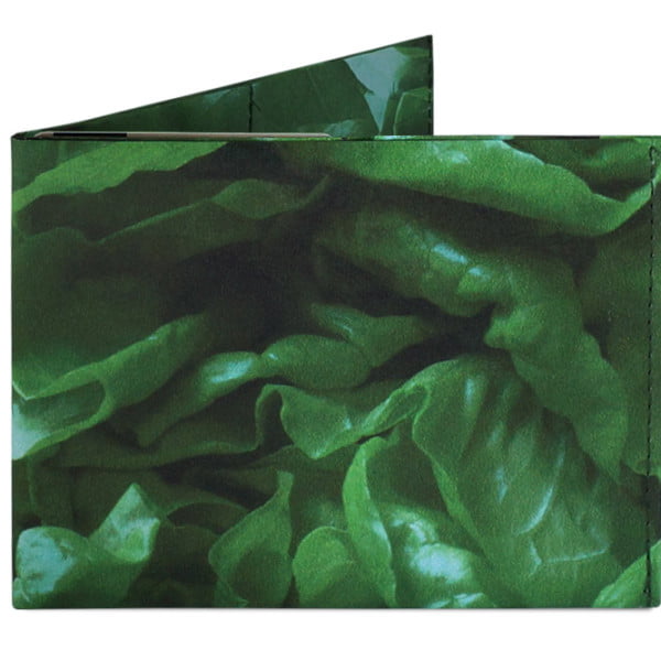 Spocket Classic Plus Lettuce