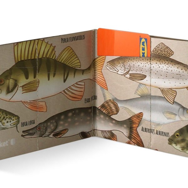 Spocket Classic Plus Fish XTR