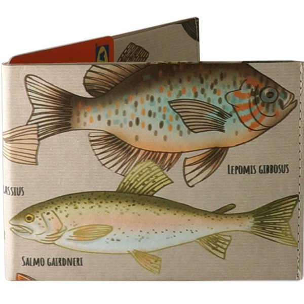 Spocket Classic Plus Fish XTR