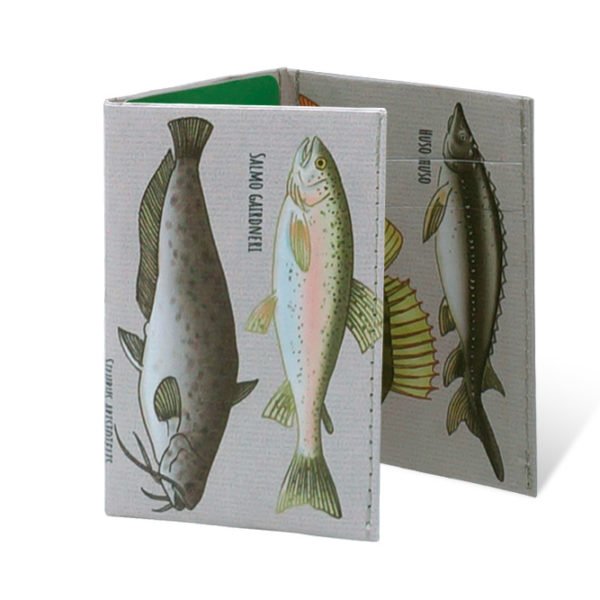 Spocket Mini Fish XTR