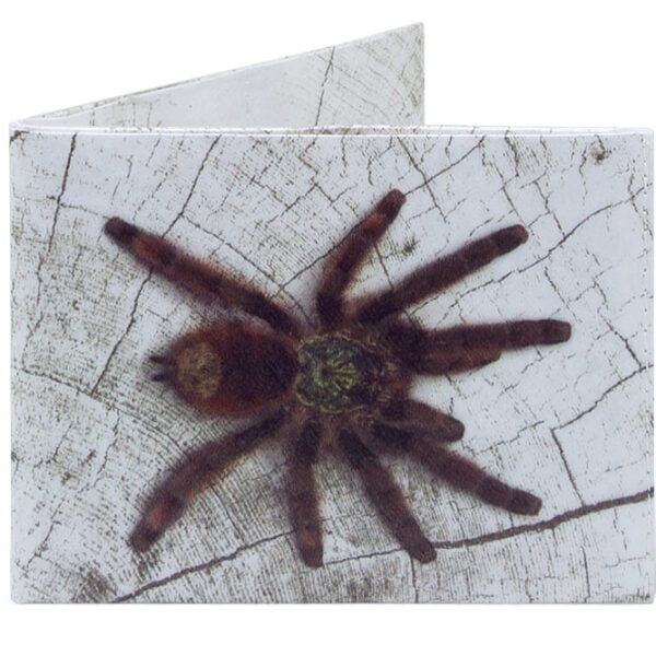 Spocket Classic Plus Spider XTR