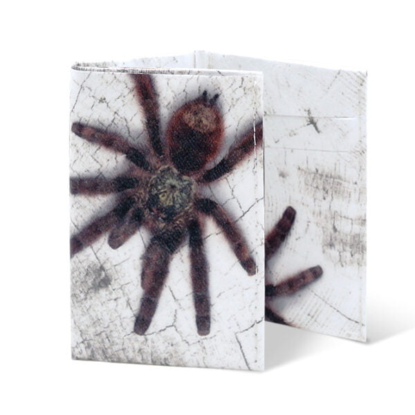 Spocket Mini Plus Spider XTR