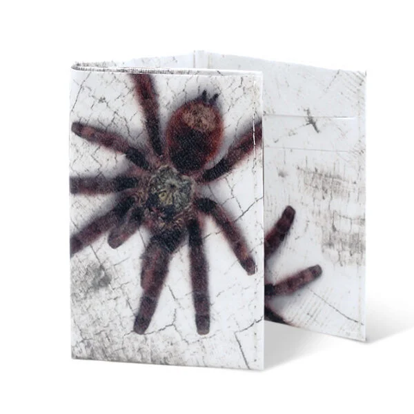 Spocket Mini Plus Spider XTR