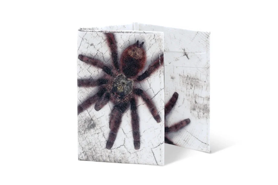 Spocket Mini Plus Spider XTR
