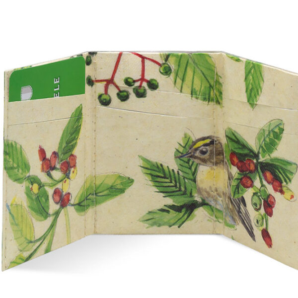 Spocket Mini Plus Birds