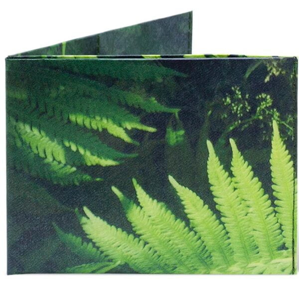 Spocket Classic Fern XTR