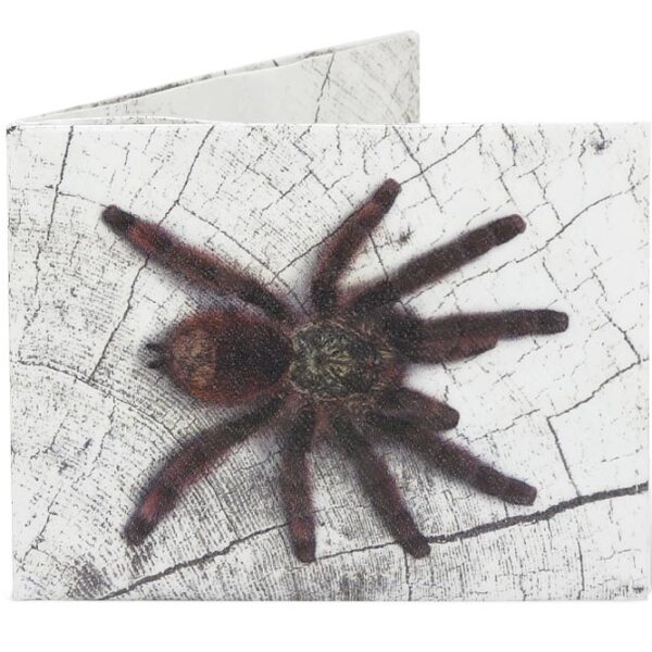 Spocket Classic Spider XTR