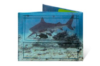 Spocket Classic Plus Sharks XTR